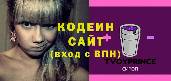 прущие грибы Абаза