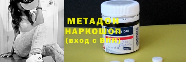 прущие грибы Абаза