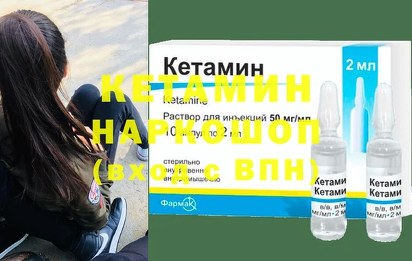 стаф Алексин