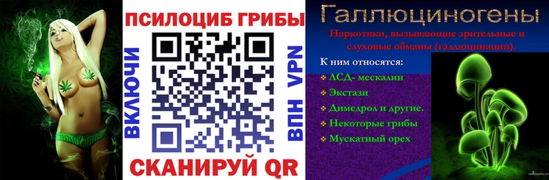 как найти закладки  Новоаннинский  Псилоцибиновые грибы Psilocybe 